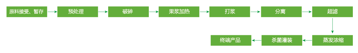 藍(lán)莓、草莓、桑葚濃縮汁